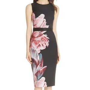 Ted Baker London Xanadu Tranquility Sheath Dress